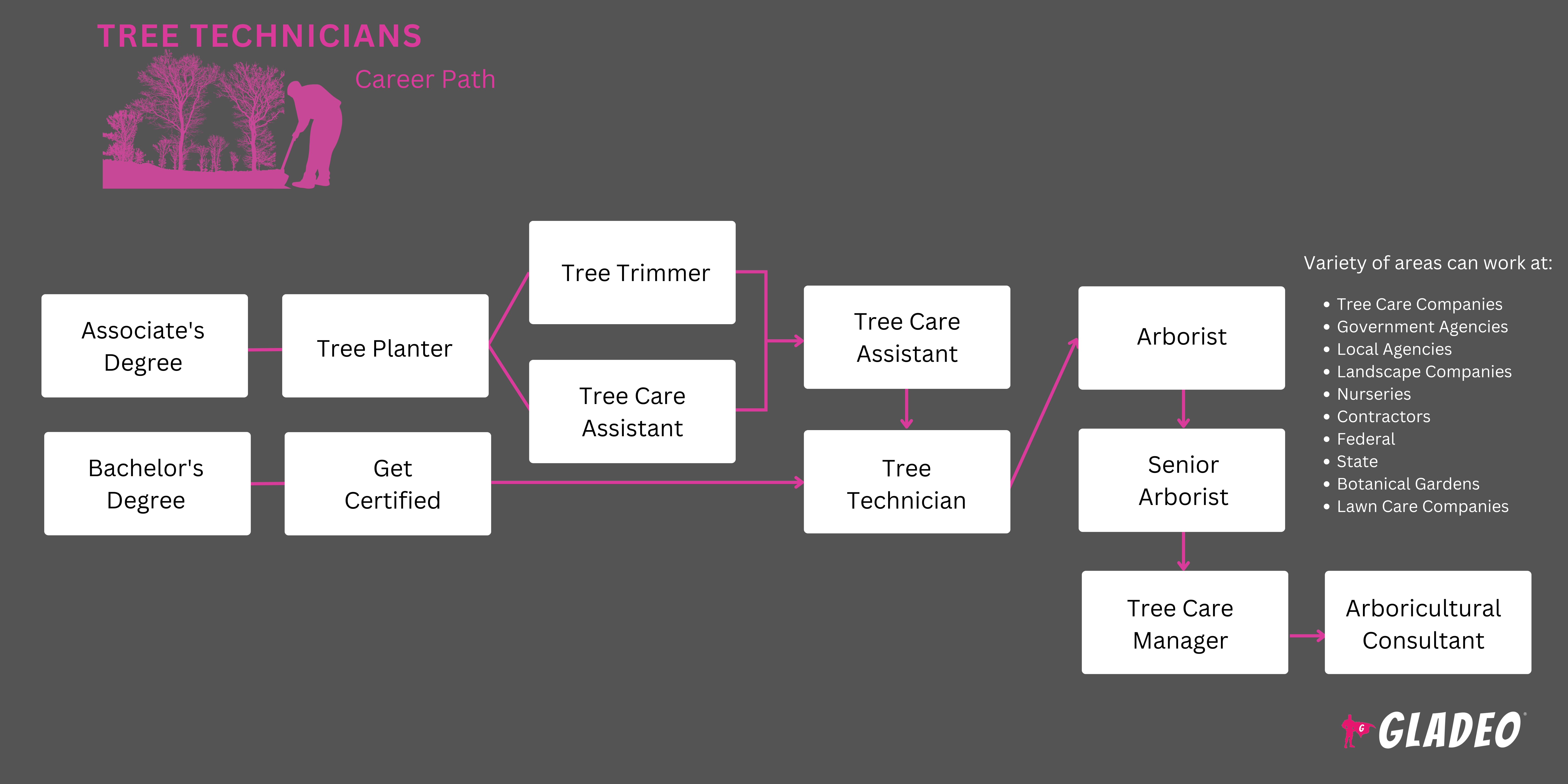 Tree Technician  Roadmap